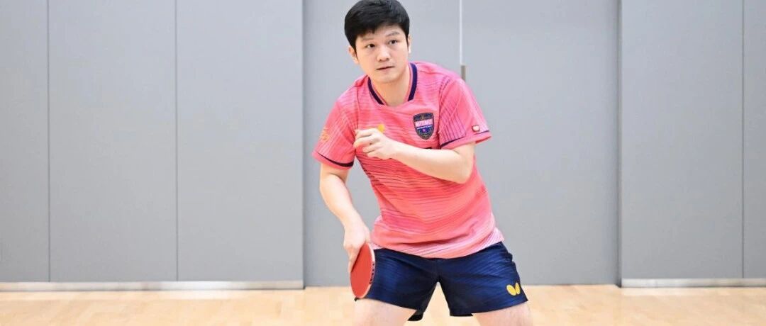 Fan Zhendong in pink Butterfly jersey, positioned at the table in a ready stance