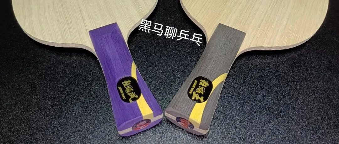Two inner carbon blades side by side showing purple and gray custom handles