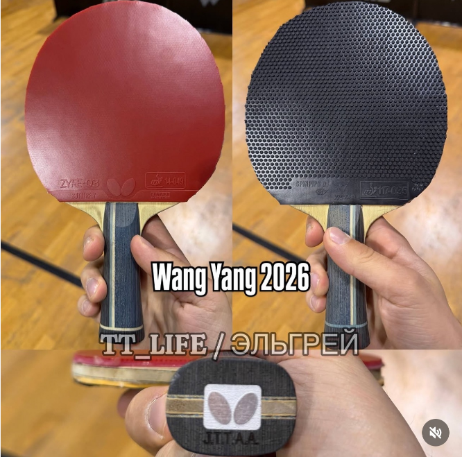 Wang Yang demonstrating his chop-attack style with penhold grip