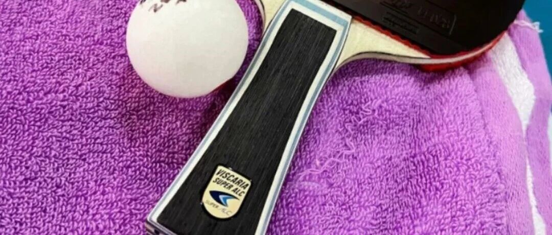 Butterfly Super Viscaria ALC blade and Dignics 05 rubber resting on a purple towel with a ball