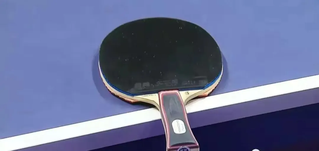 Zhang Yining ZLC and Chen Meng Carbon 45 blades with rounded AN gourd grip