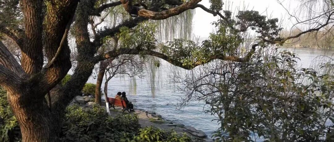 Peaceful lakeside park scene with a bench under willow trees