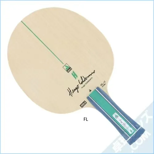 JOOLA ARY-C blade cross-section showing green fiber layers between wood plies