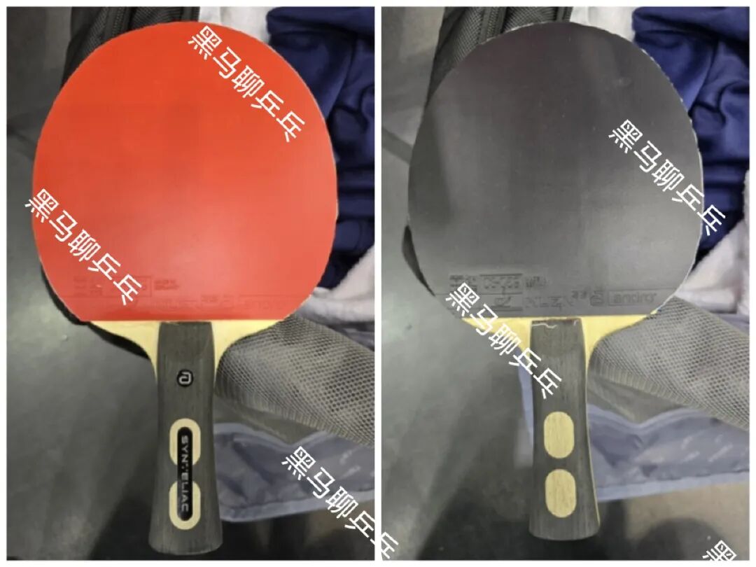Polkanova playing with Andro ZCO blade and Nuzn 55 rubber at Singapore Smash