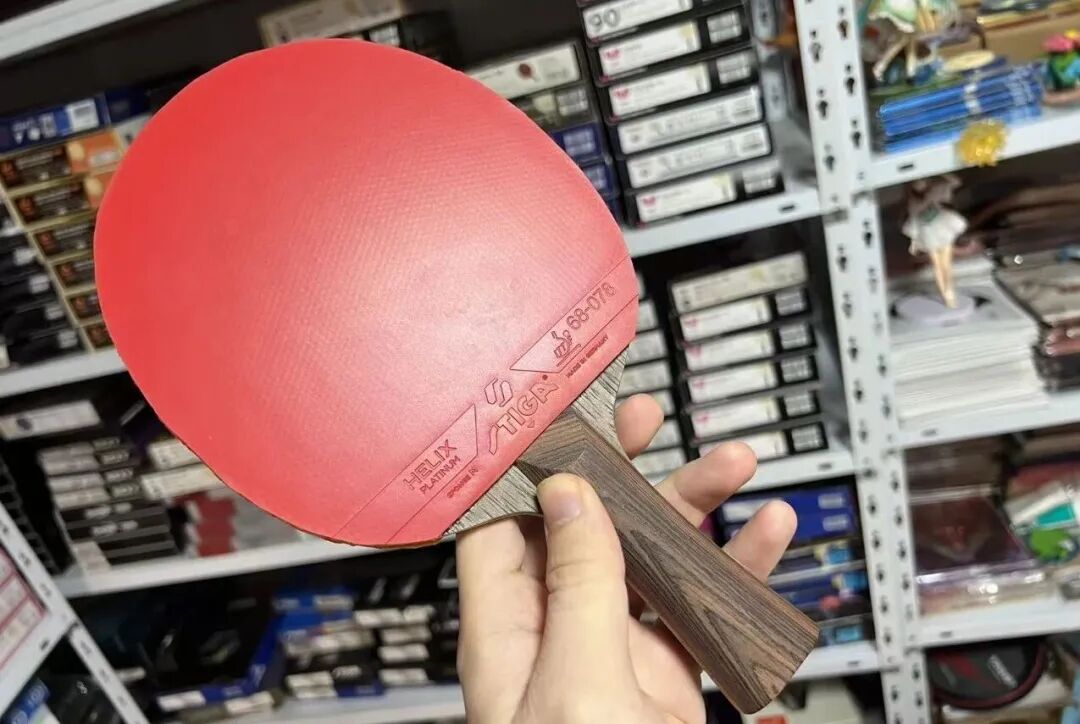 Stiga Helix Platinum backhand testing session showing rubber on Destiny Carbon blade