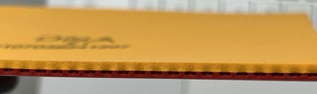 DNA Hybrid M mounted on Zhang Jike ALC blade for backhand testing session