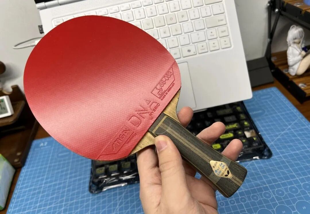 Stiga DNA Hybrid rubber mounted on a Zhang Jike ALC blade showing the red topsheet