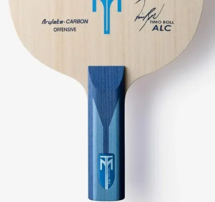 Timo Boll playing close to the table with compact fast-strike style taught by coach Helmut Hamper