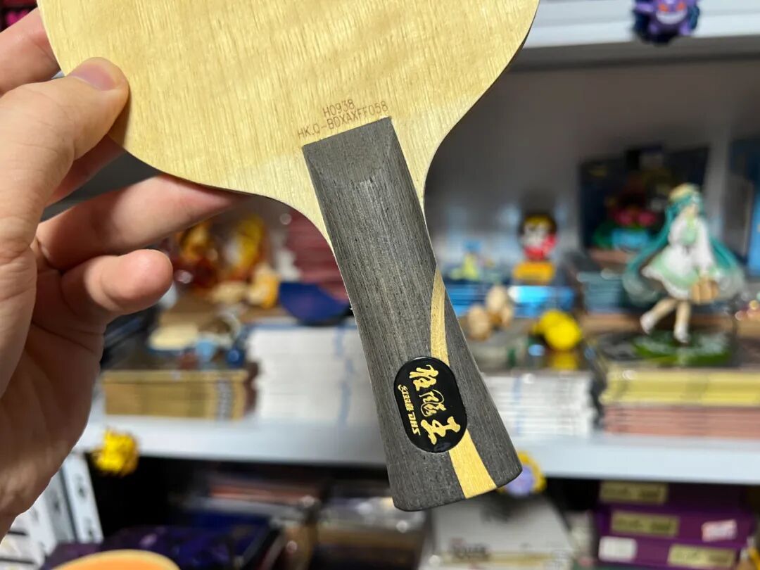 DHS Hurricane King Wang Chuqin edition blade full flat lay on dark surface