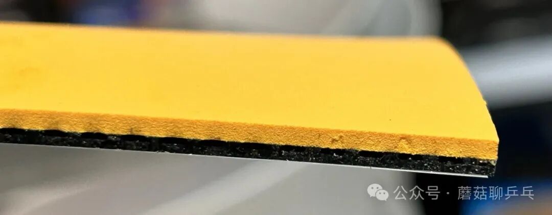Stiga DNA Dragon Grip semi-tacky topsheet surface close-up with yellow high-hardness sponge