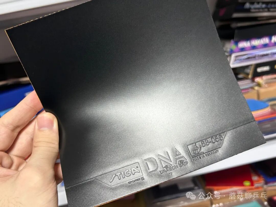 Stiga DNA Dragon Grip rubber tested on Hina Hayata H2 blade forehand loop