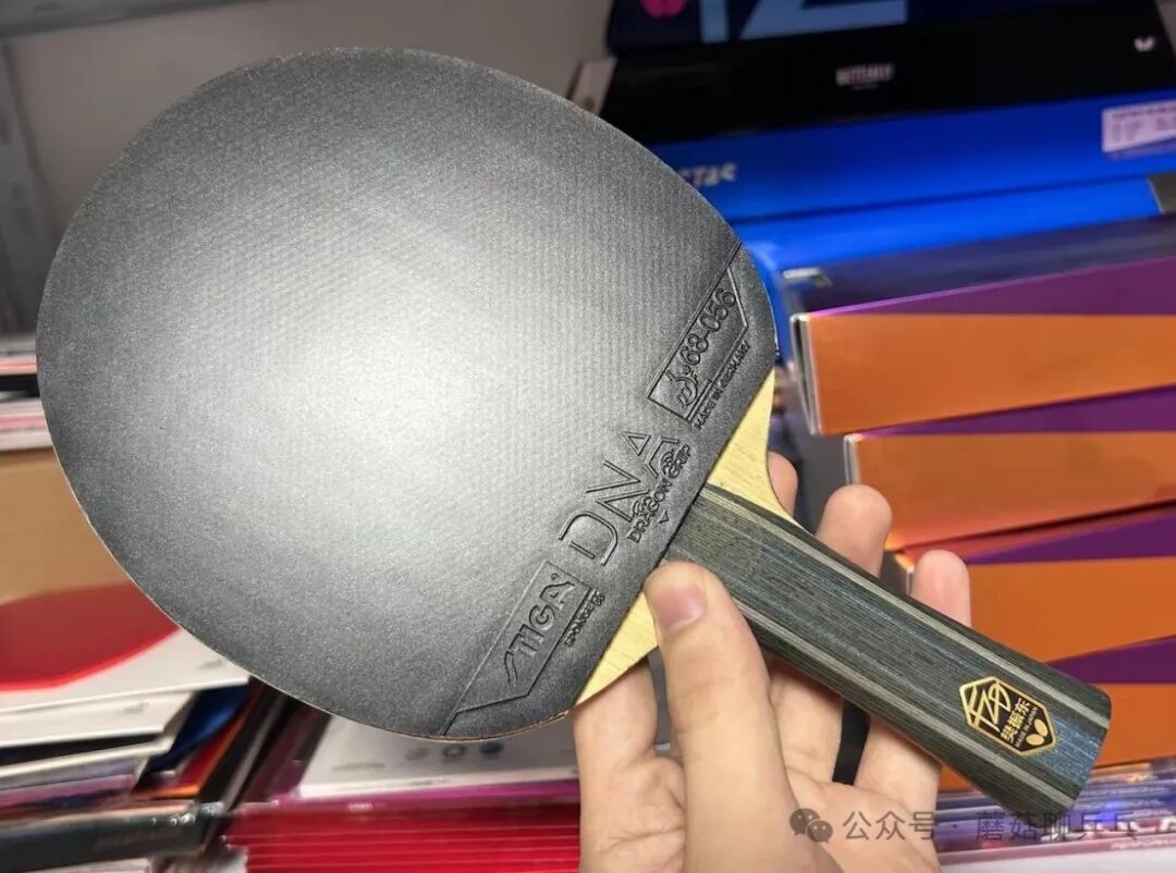 Stiga DNA Dragon Grip 55-degree cake sponge cross-section showing high-hardness structure