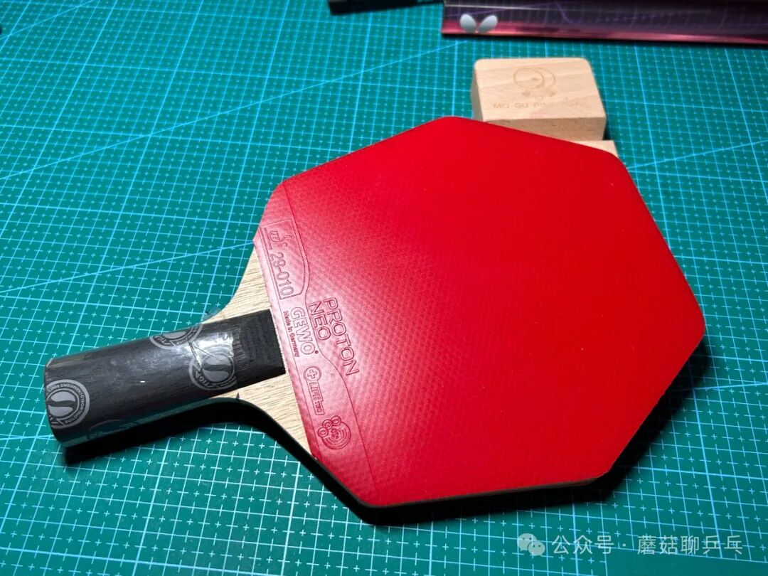 STIGA Cybershape Wood CS with rubber applied showing penhold player setup