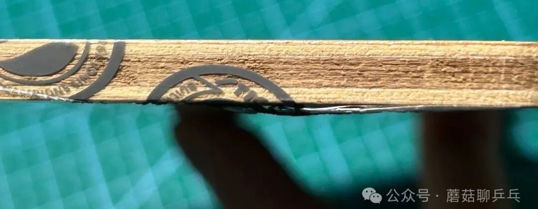 STIGA Cybershape Wood CS penhold variant blade with backhand rubber applied