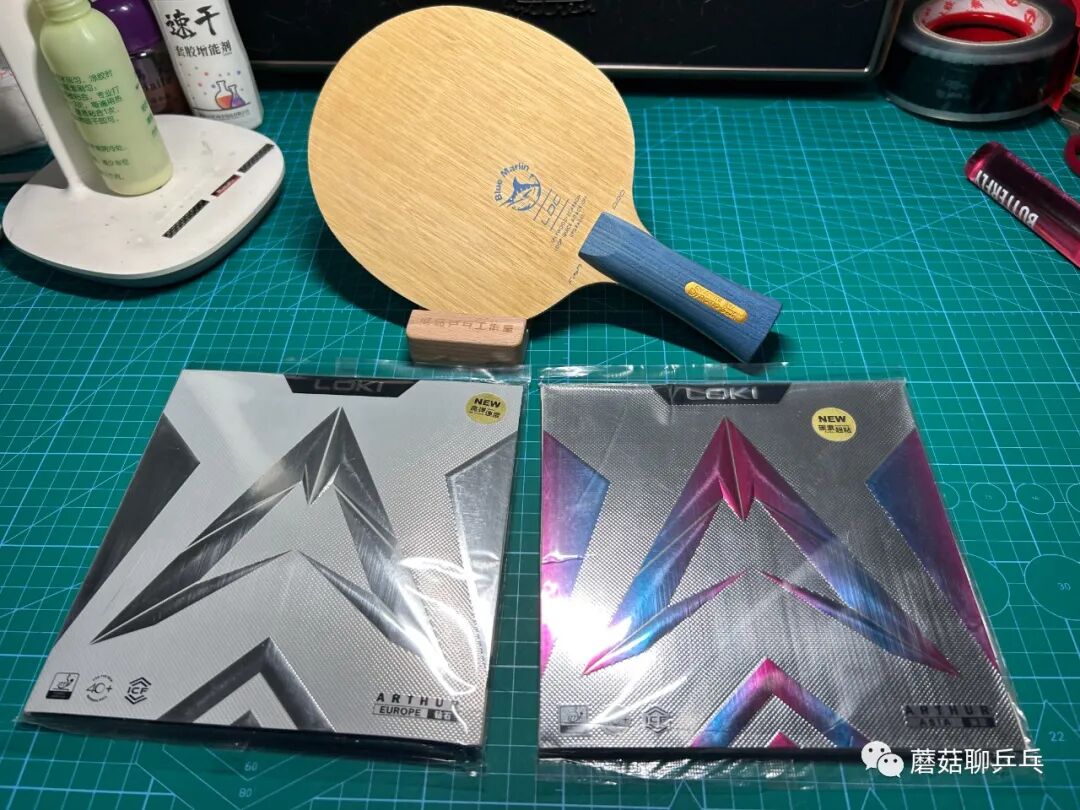Loki Arthur Asia rubber forehand loop test on GEWO Creator all-wood blade