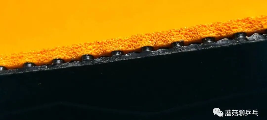 Stiga DNA Platinum H rubber mounted on table tennis blade forehand side