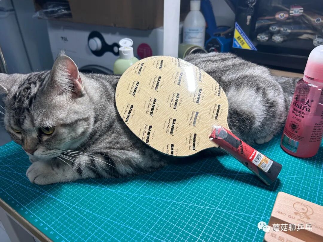 Sanwei 75.1 blade bounce-test setup comparing feel to inner and outer ALC blades