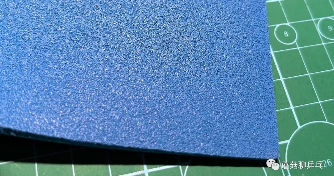 DONIC Bluestorm Z2 topsheet pip geometry close-up showing grip surface