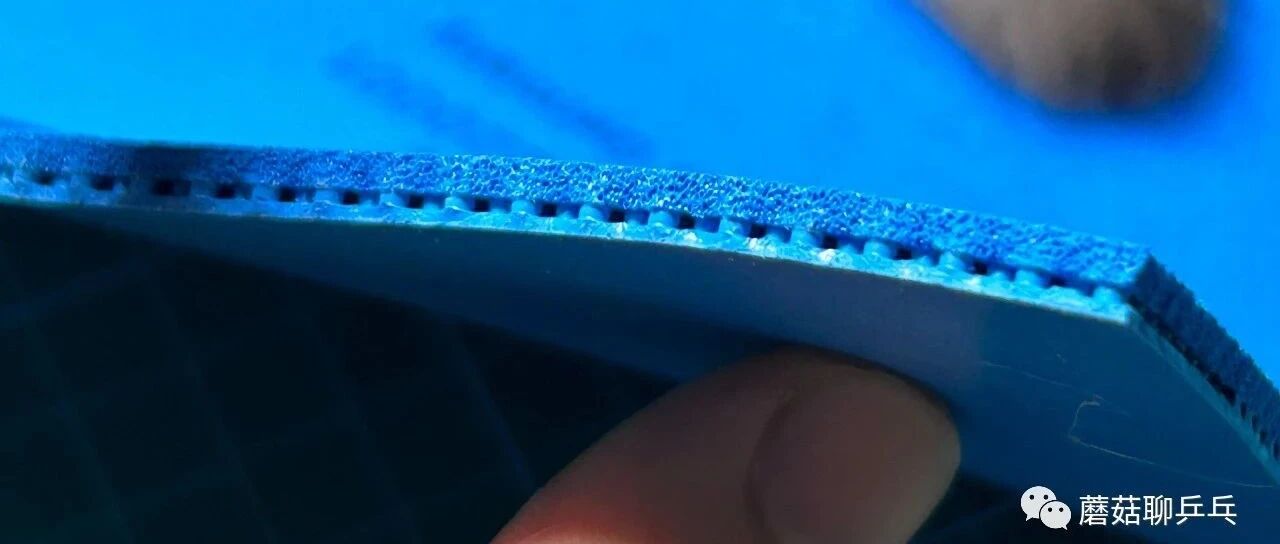 DONIC Bluestorm Z2 blue table tennis rubber showing sponge cross-section