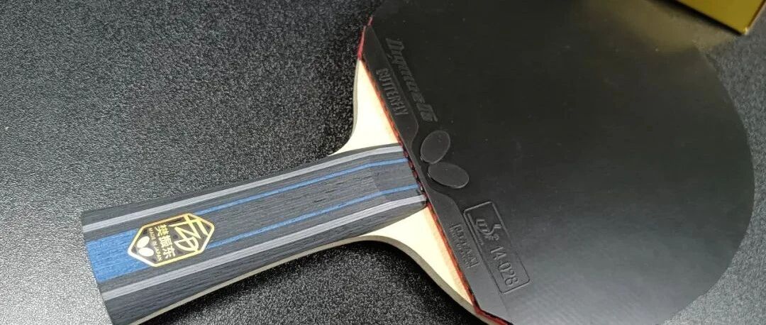 Fan Zhendong ALC Butterfly blade with black Dignics rubber lying on a dark surface