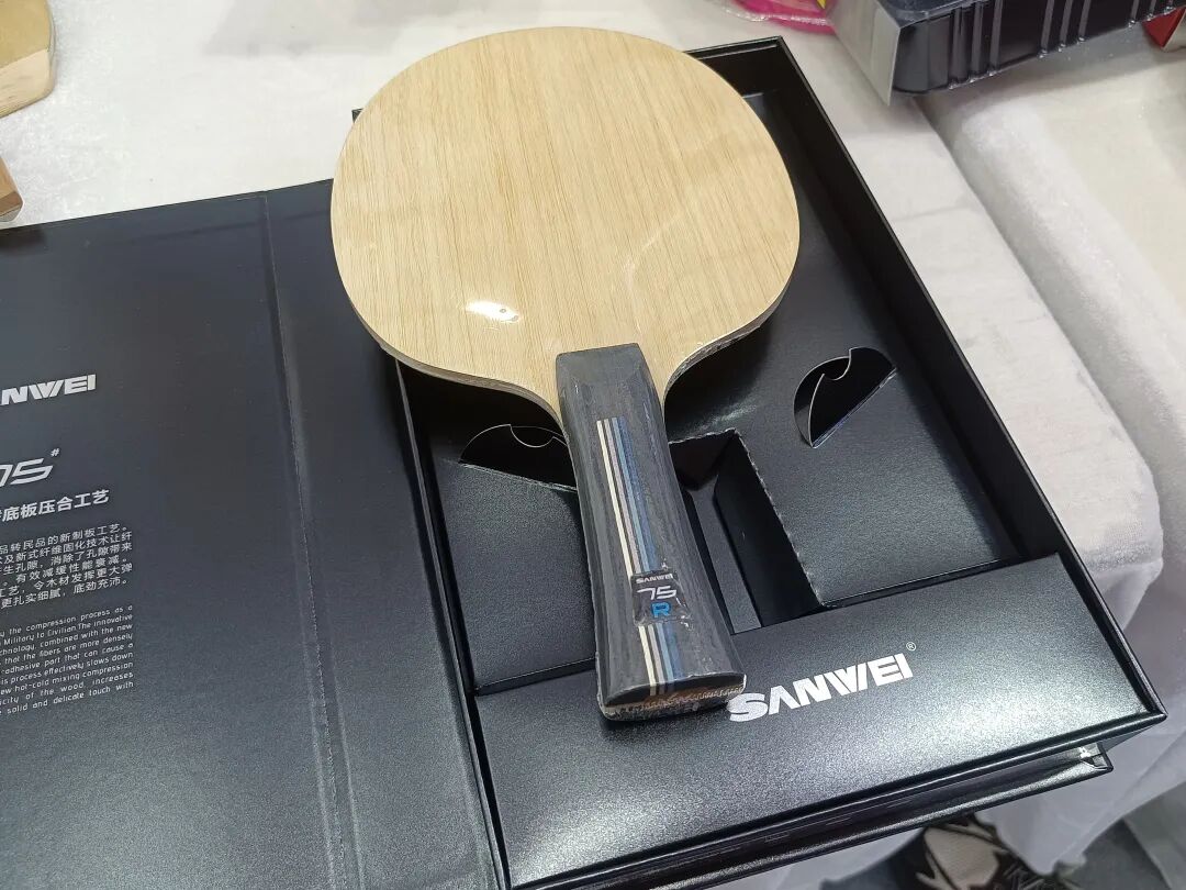 Sanwei 75R outer H-GLC glass-carbon blade with Vis structure at expo