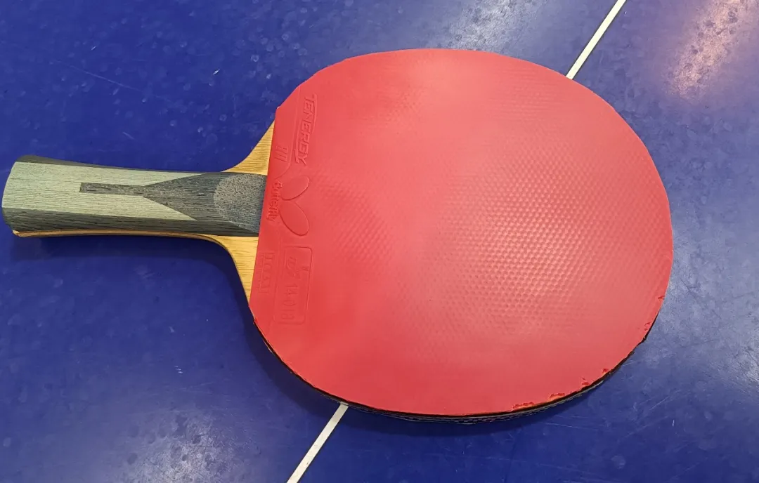 Donic Platinum X1 and Nittaku S1 rubber sheets side by side for backhand comparison