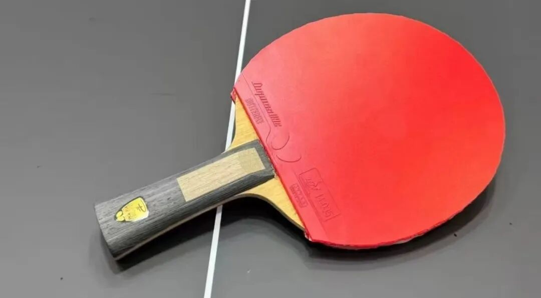 Fan Zhendong switching equipment setups between ZYRE-03 forehand and Dignics 09c backhand