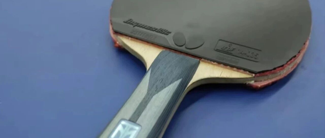 Table tennis paddle lying on a blue court surface with a rubber close-up showing the Butterfly Dignics backsheet