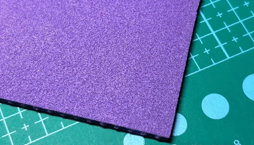 Joola Dynasty AGR rubber sheet close-up showing sponge and dense pip top sheet